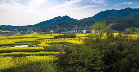 手機(jī)信號(hào)增強(qiáng)|跟弱信號(hào)說拜拜，用這個(gè)方法實(shí)現(xiàn)網(wǎng)絡(luò)信號(hào)100%